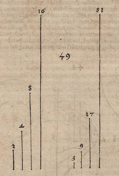 Graphical Comparison of Two Power Functions with the Bases by Albrecht Dürer